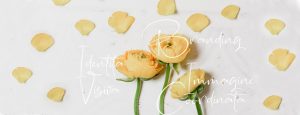 fiori dello stesso mazzo rappresentano branding, identità visiva ed immagine coordinata