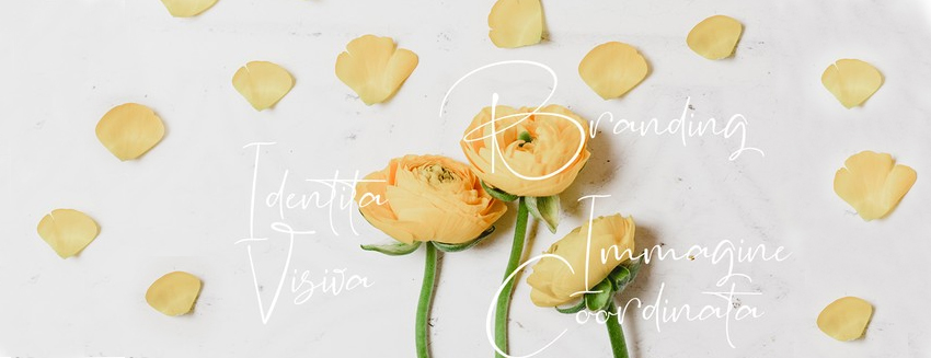 fiori dello stesso mazzo rappresentano branding, identità visiva ed immagine coordinata