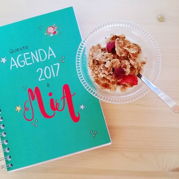 copertina agenda MIA 2017